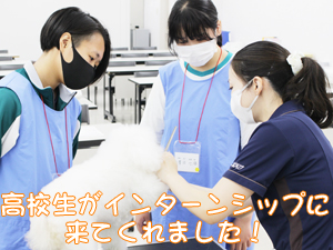 高校生がインターンシップで来校！